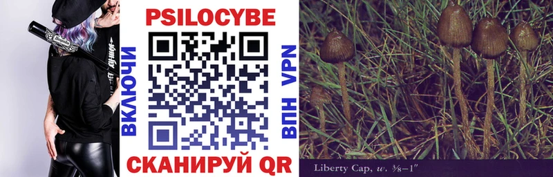 Галлюциногенные грибы GOLDEN TEACHER Ялуторовск
